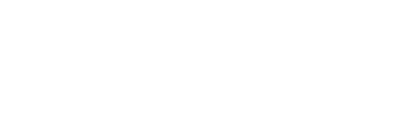 DLS logo