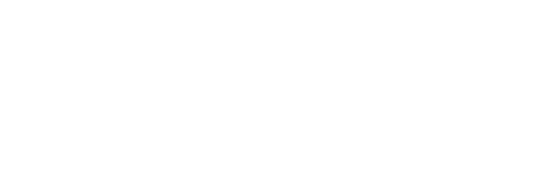 DLW logo