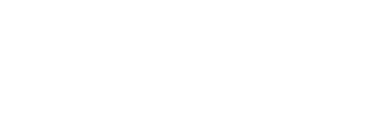 TotalVisibility logo